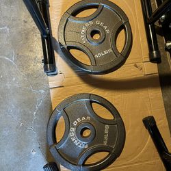 2x 45 Lb Weight  Plates
