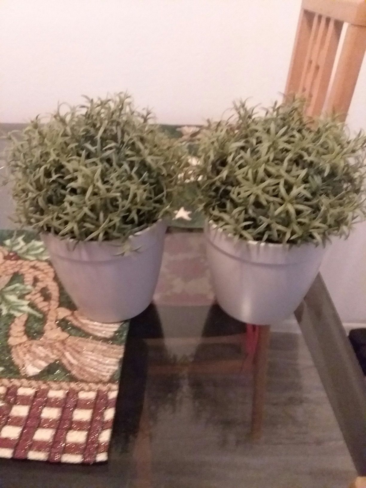 Two fake plants from IKEA