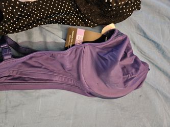 Women Bras Size 36c