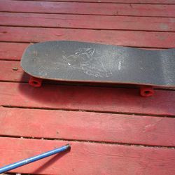 Skate Board