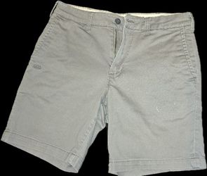 Shorts American Eagle Gray Size 30