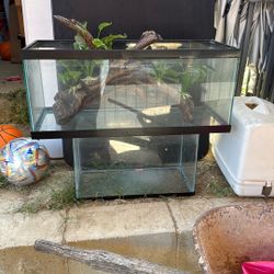 Fish Tank And Decor 