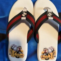 Slides 