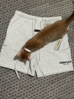 Essential shorts