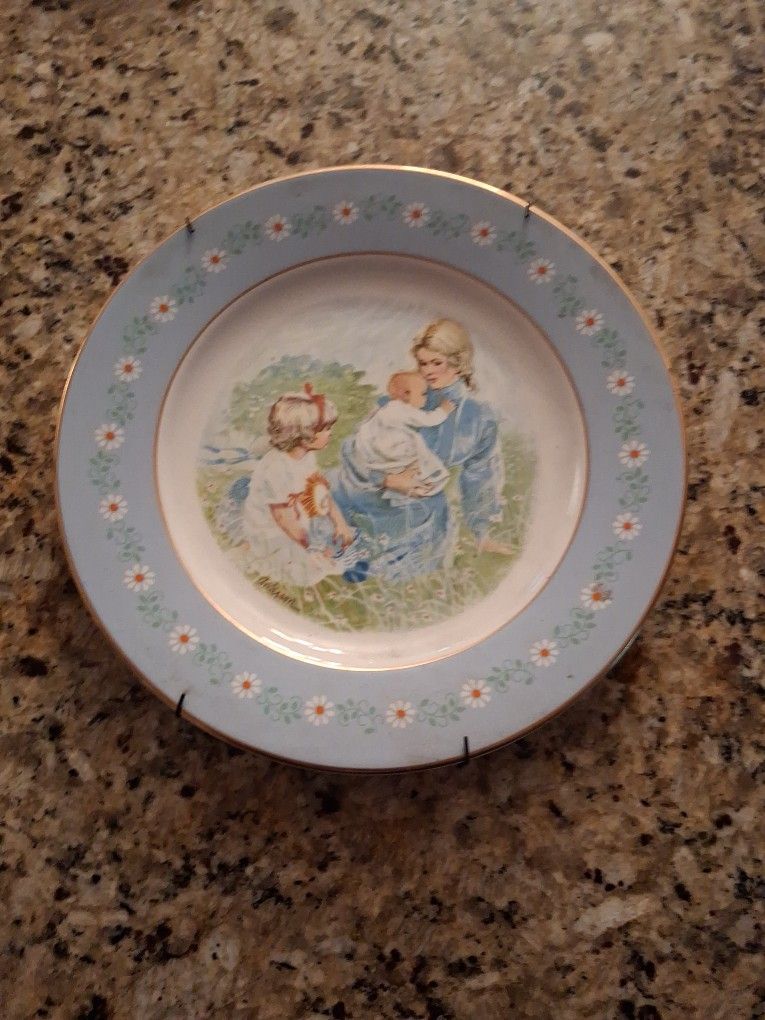 Hanging Plate Pick Up Only