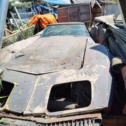 79 Chevrolet Corvette 