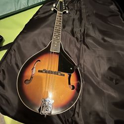 Mandolin With Case