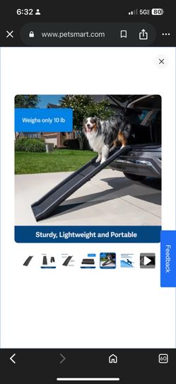 Dog ramp