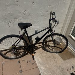 Ladies Bicycle