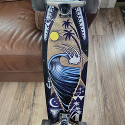 Skateboard(Hawk Signature Series Long Board