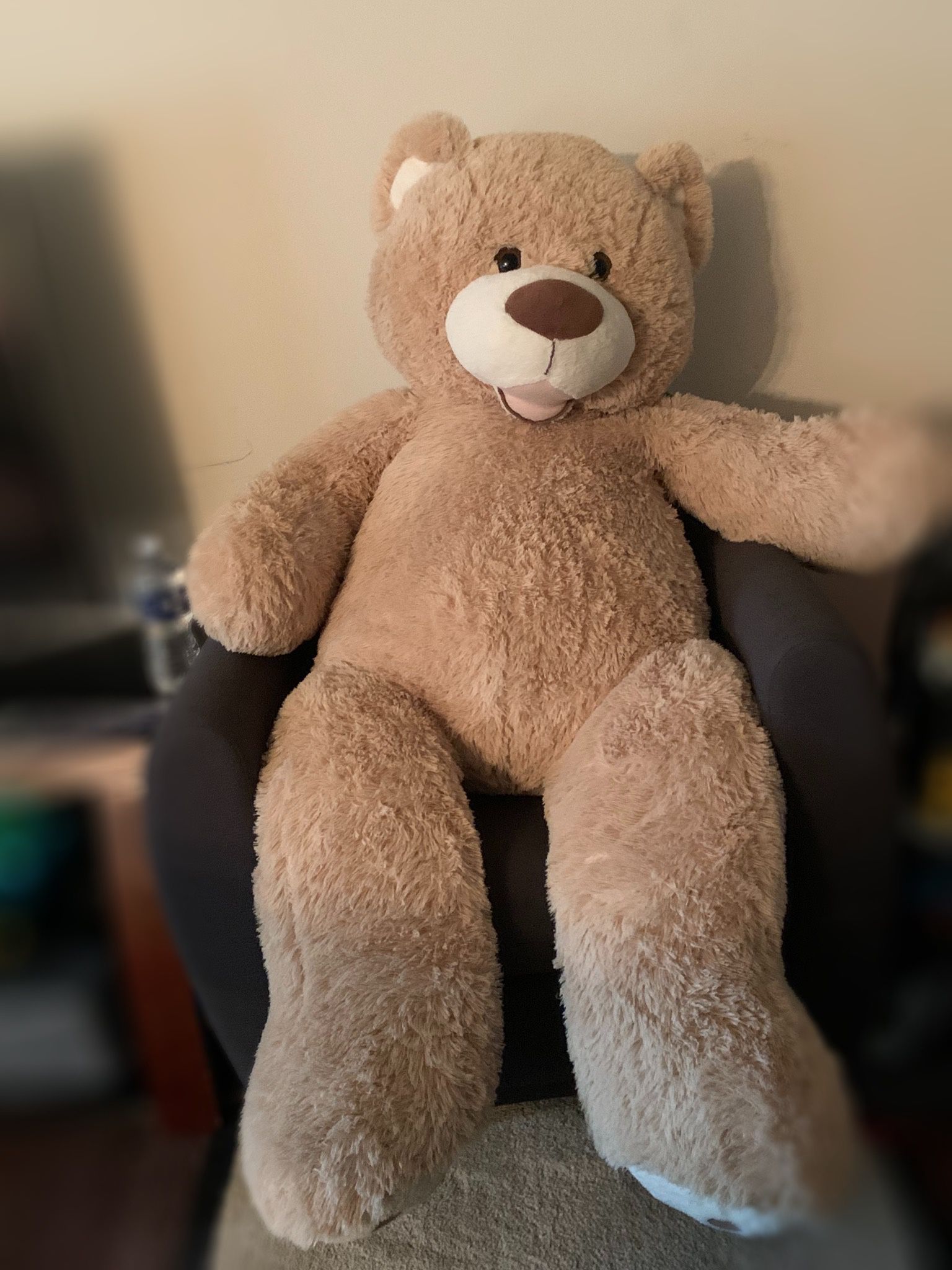5 Foot Teddy Bear 