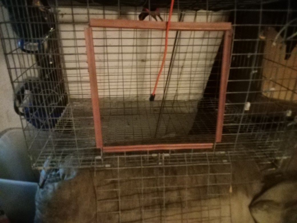 Rabbit Cage 2x1ft Perfect For Rabbit Or Chicken