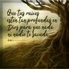 Mlsf