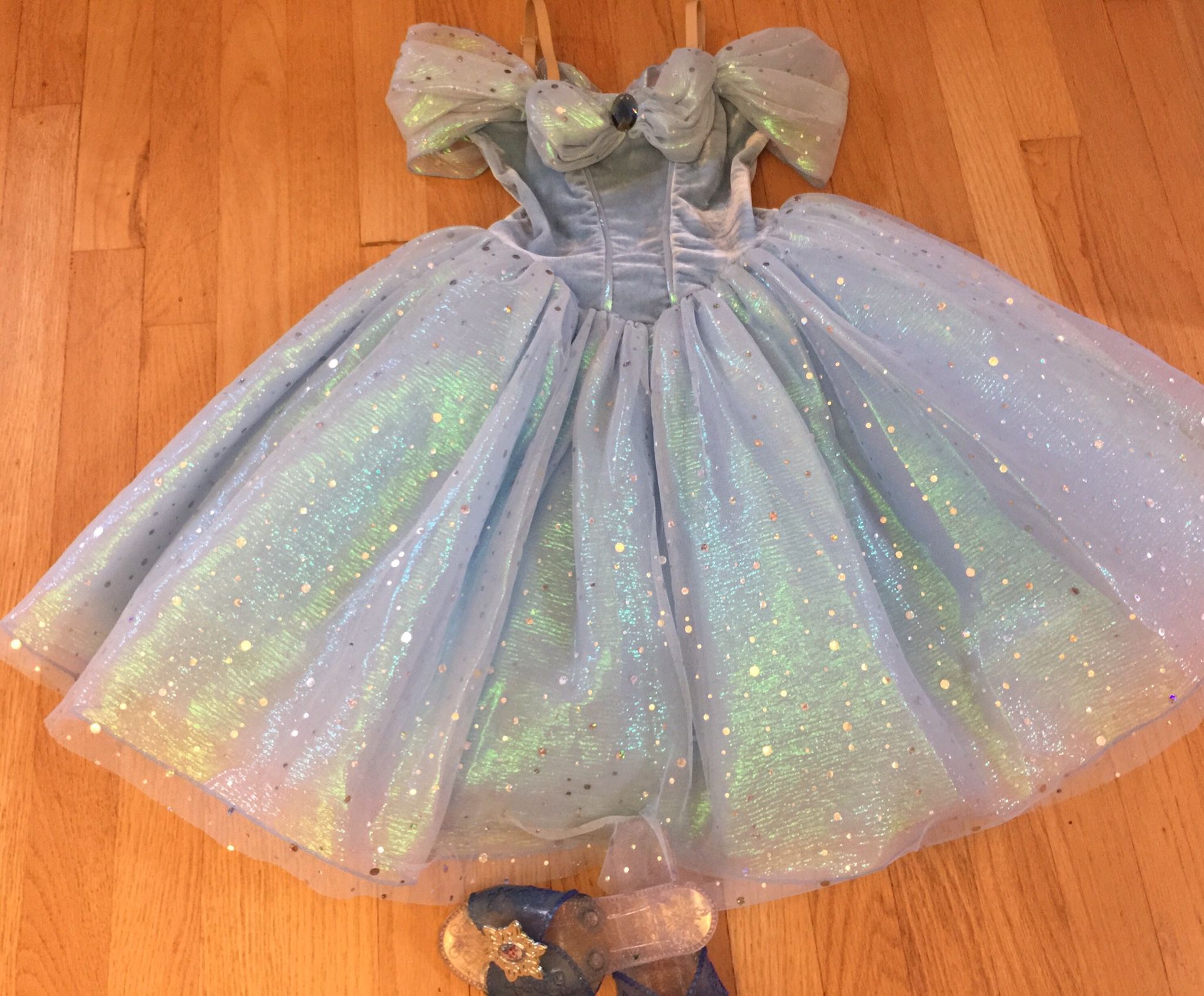 Cinderella costume with shoes