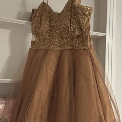 Gold Brown Dress