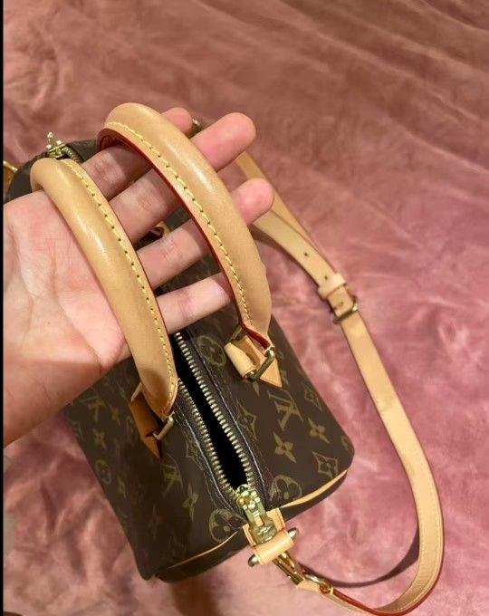 Louis Vuitton Speedy Shoulder Bag