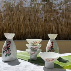 Hawaii vintage Japanese collectible hand painted porcelain 6 piece sake set.