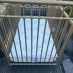 Metal Crib