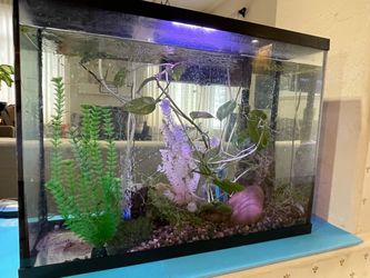 36 gallons fish tank