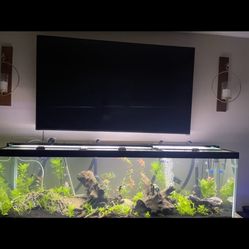 125 Gallon Fish tank Aquarium With Many Accessories 