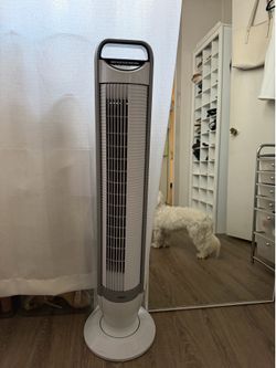 White long Fan