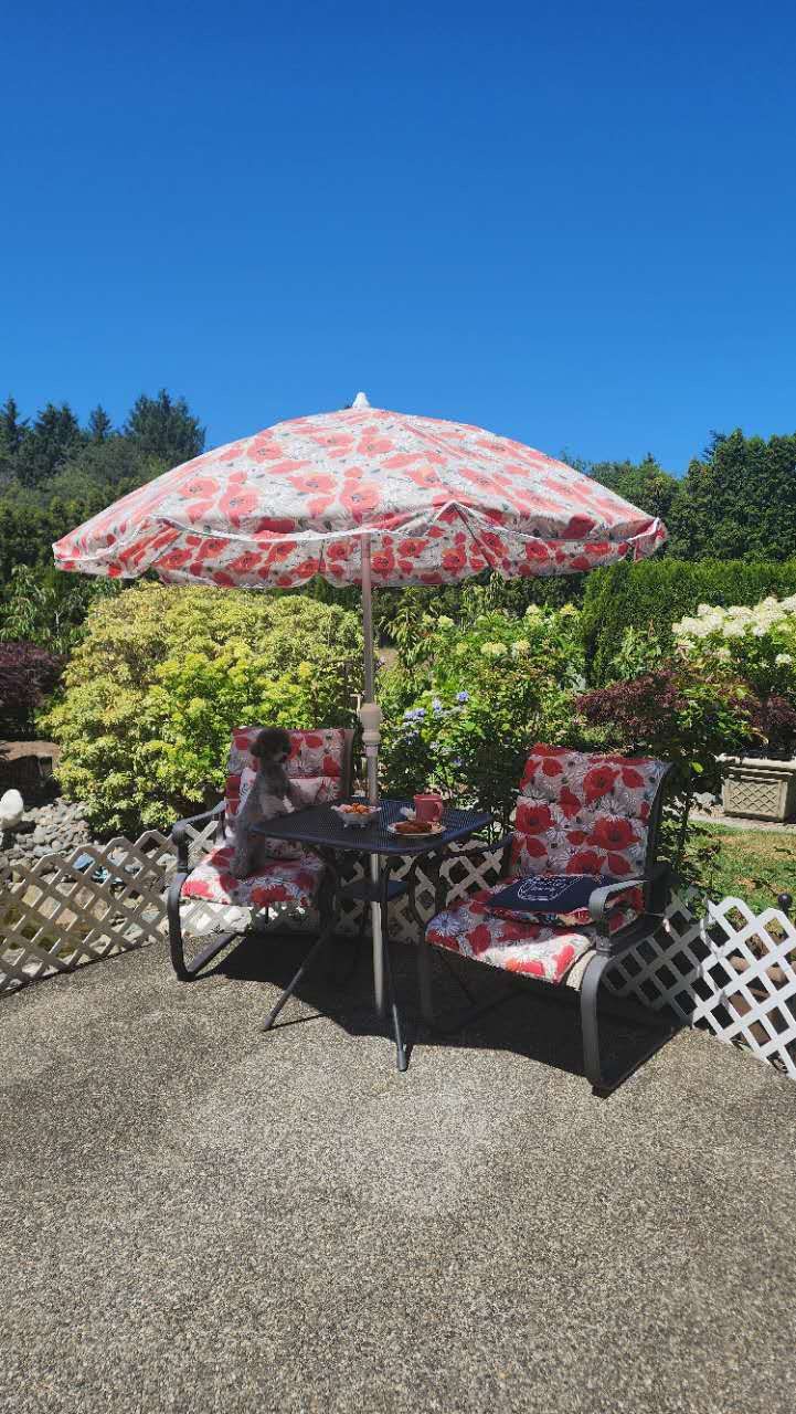Umbrella Table And 2x Chair Set 