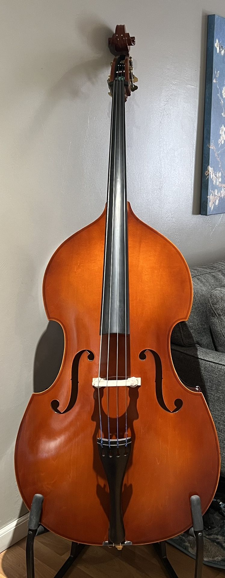 Eastman VB80 3/4 Upright Bass – Brand New, Never Used