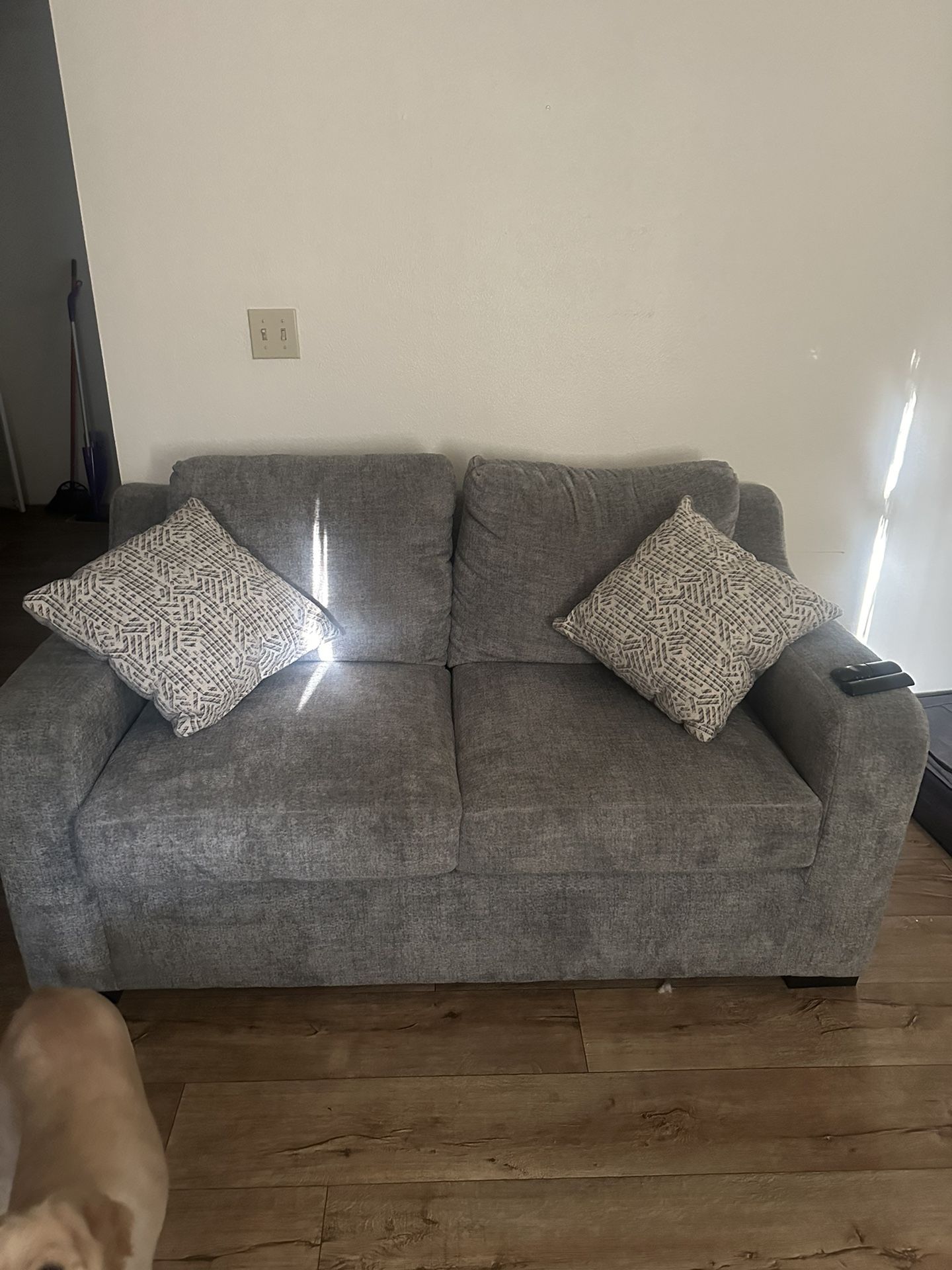 Loveseat And Protective Case 