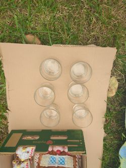 Glass Cup 