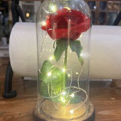 Rose nightlight