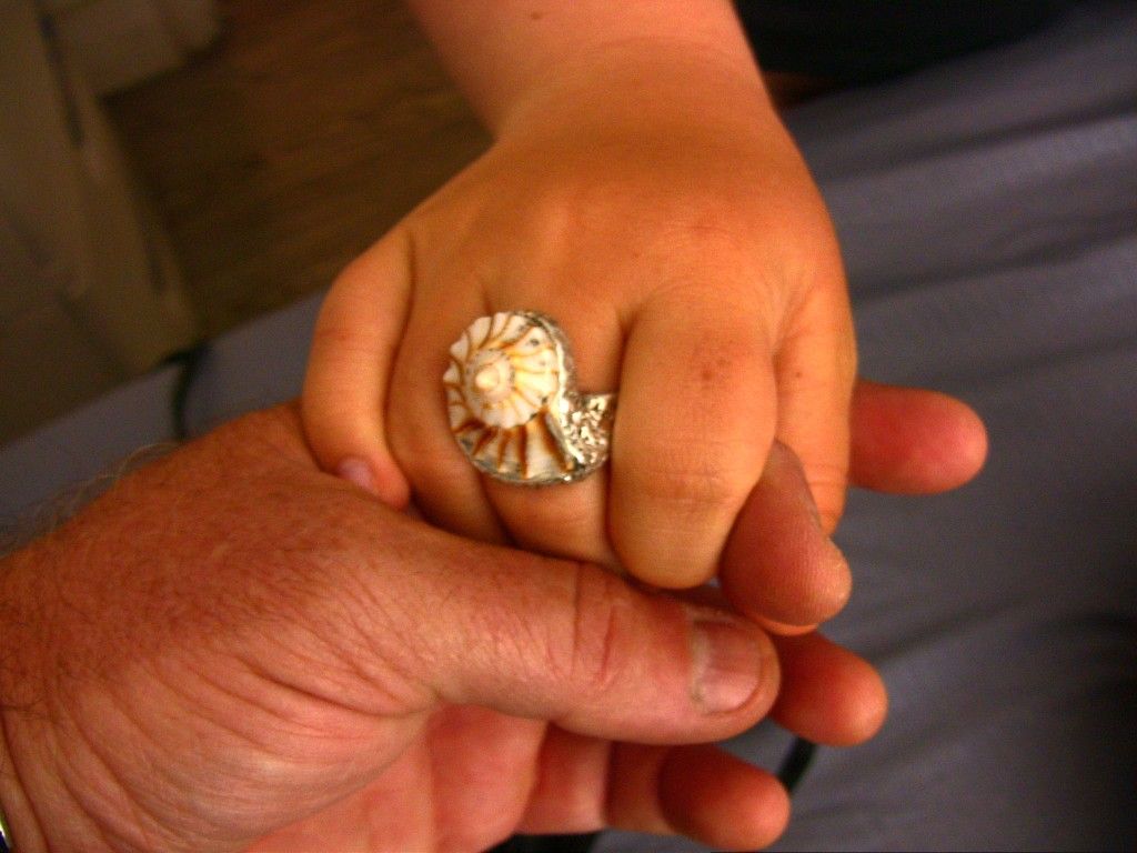 Conch Shell Ring Lightning Whelk