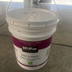 5 Gallon Paint & Primer Ultra Pure White 