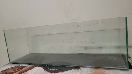 16g shallow & 35g cube