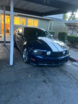 Mustang gt