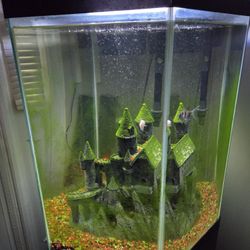 20 Gallon Hexagon Fish Tank With Stand