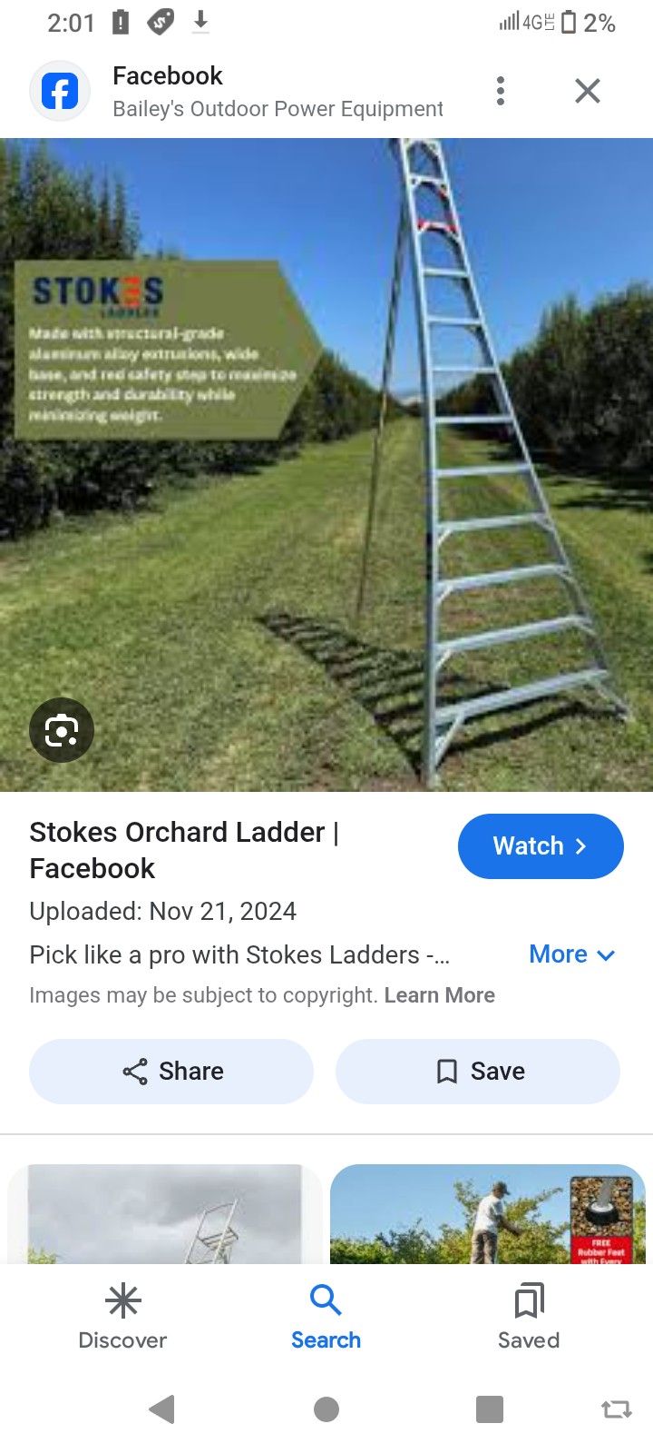 Orchard Ladder