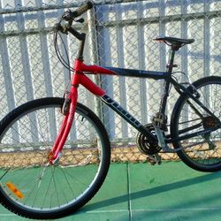 Mens Adult Giant Boulder Mountain Bike / Bicycle  