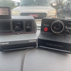 Perfect Pair Of Polaroids!