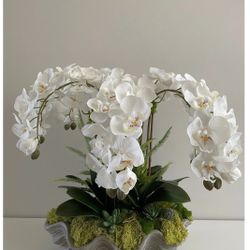 Silk Orchid Arrangements 