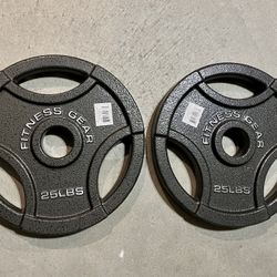 Olympic 25 Pound Set