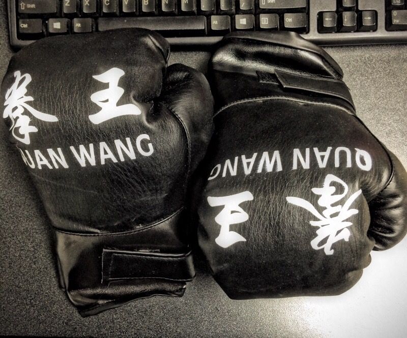 Quan Wang Boxing Gloves