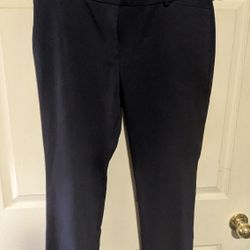 ANN TAYLOR Blue Dress Slacks - SIZE 12 PETITE Curvy