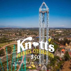 Knotts 