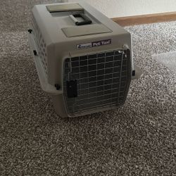 Pet Carrier