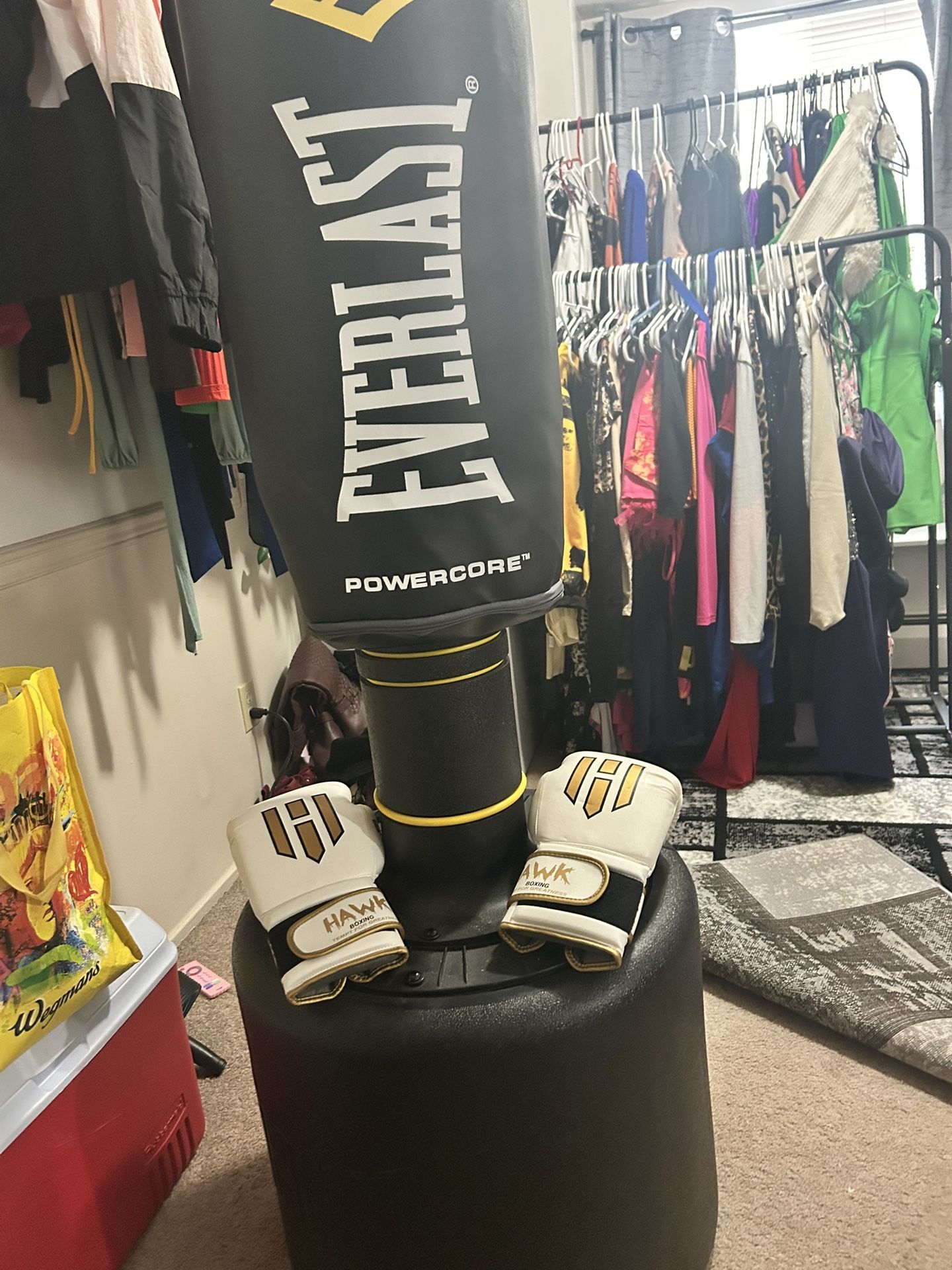 Punching Bag & Gloves