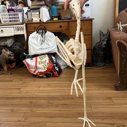 3 flamingos Skeleton Yard Halloween Decor