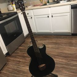 Washburn Guitar,