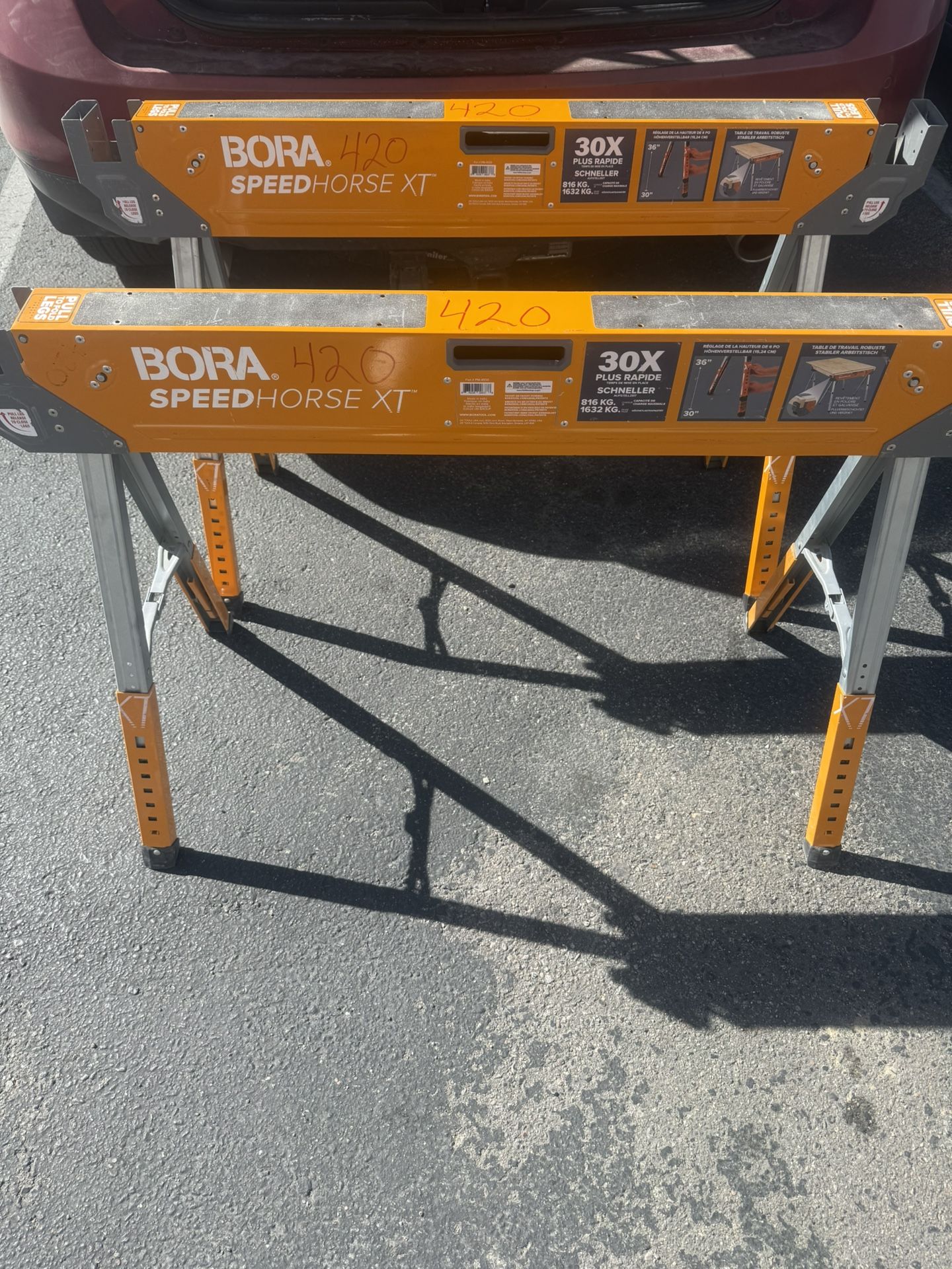Bora Speed, Horses, Extra Large