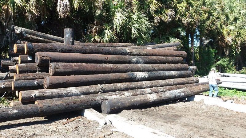 Telephone Poles