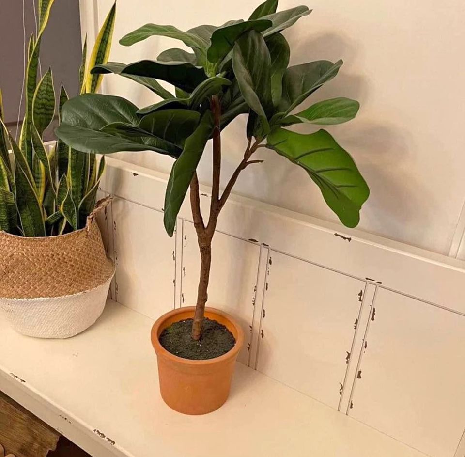 Fiddle Leaf Tree Hearth & Hand for Sale in Elk Grove, CA OfferUp